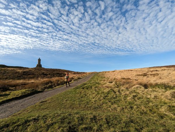 A long shot of a footpath on a sunny day